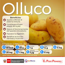 El olluco pertenece a la familia de los basellaceae, su nombre científico es ullucus tuberosus caldas. Qali Warma Olluco Es Facil De Preparar Su Consumo Es Facebook