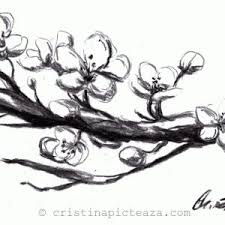 Colecție de la maria • ultima actualizare în urmă cu 2 zile. Desene In Creion Archives Cristina Picteaza