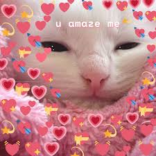 Cat memes ❥'s best boards. Page 2 Free And Customizable Meme Templates Canva