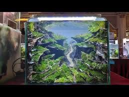 Bikin Merinding Ini Lah 62 Peserta Nano Aquascape Paguyuban Aquascape Yogyakarta Kontes Kelas Master Youtube Aquascape Design Aquascape Fresh Water Fish Tank