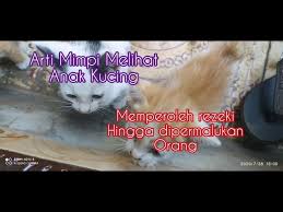 Anda bisa bermimpi tentang kucing karena anda memiliki hewan. Arti Mimpi Melihat Anak Kucing Memperoleh Rezeki Hingga Dipermalukan Orang Youtube