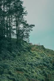 Air dana yang biru di atasnya ada angsa yang sedang menikmati air yang tenang. 1440x900px Download Gratis Pohon Danau Bukit Alam Liar Petualangan Margasatwa Hutan Piqsels