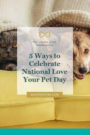 You could also look into how to volunteer to spend a little time at your local pet rescue centre maybe walking one of the dogs there or giving a little bit of your time to the cats at the cattery. 5 Ways To Celebrate National Love Your Pet Day In 2021 Love Your Pet Day Pet Day Love Your Pet