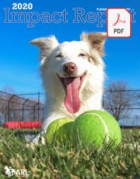 As howell noted previously, tv spots can be a great method for rescues or shelters with a bigger budget to market themselves and improve their reputation. Impact Report Animal Rescue League Of Iowa