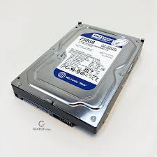 Ổ cứng gắn trong HDD Western Digital 250GB chính hãng, bảo hành 24 tháng.