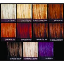 Sebastian Cellophanes Color Chart Color De Cabello Teñido