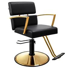 We did not find results for: Mercer41 Hair Salon Chair Hydraulic Styling Chair Rose Gold Wayfair