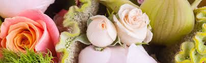 Perfect for weddings · low prices guaranteed · free shipping Fresh Flowers Schmidt Klaus