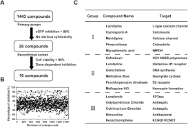 Check spelling or type a new query. Generation And Characterization Of Japanese Encephalitis Virus Expressing Gfp Reporter Gene For High Throughput Drug Screening Sciencedirect