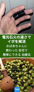 おばあちゃん おじいちゃんの知恵 健康 イボ 食事 健康