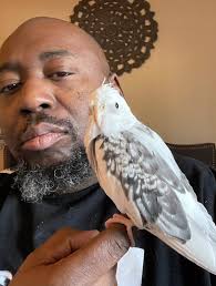 Missing cockatiel Orange, Orange County, California This is a shared post  for information please contact the person