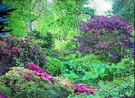 We did not find results for: Ornamental Trees