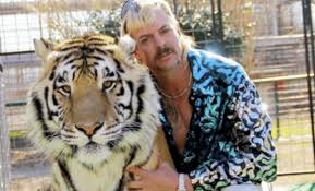 No hating cause i was bored and i was actually brainstorming somethig stupid kay? 8 Shows To Binge Watch During Quarantine Uvm Bored