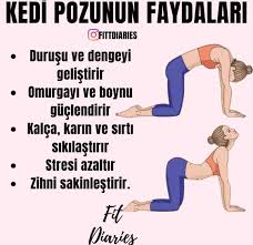 Arzu Adli Kullanicinin Spor Egzersiz Panosundaki Pin 2020 Evde Egzersiz Egzersiz Kalcalar