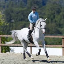 Get A Leg Up On Leg Protection The Plaid Horse Magazine