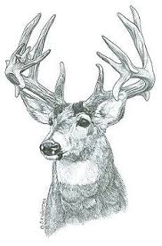 Get hold of these coloring sheets that are full of pictures and involve your kid in painting them. 46 Deer Coloring Pages Ideas Deer Coloring Pages Coloring Pages Deer