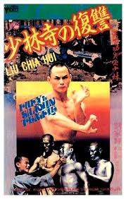 The name refers to the woods of shaoshi (少室; Fury In Shaolin Temple 1982 Review Cityonfire Com