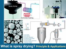 نتیجه جستجوی لغت [drying] در گوگل