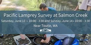 Pacific Lamprey Survey at Salmon Creek