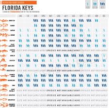 Florida Keys Usa Fly Fishing Fly Fishing Magazine Saltwater Flies