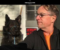 How much penicillin can be given to an unwell llama?