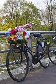 Amsterdam Biking Pretty Bike Dutch Style Bike Beautiful Bike
