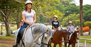What To Expect From Your First Riding Lessons