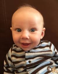 Winter 2017 Newsletter