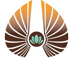 Liberation Health Strategies