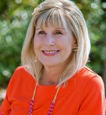 Mountain Blaze (The Carolina Series Book 1)