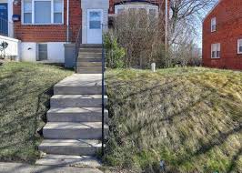 Image result for Carmella 2007 Transit