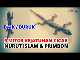 Arti kejatuhan tokek di tangan. 9 Mitos Kejatuhan Cicak Menurut Berbagai Kepercayaan Baik Atau Buruk Litetube