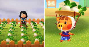 Animal Crossing: New Horizons Cheat - Massive Bells From Turnips And Time  Travel - Youtube