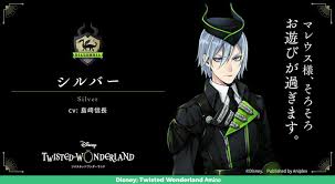 disney twisted wonderland rollplay villanos de disney disney cosas de disney