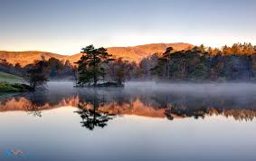 Tarn Hows Morning Mists Lake District Holidays Lake District Mists