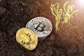 The need for safer cryptocurrency regulations in uae, the united arab emirates, has been pushed forward in the country's top authority. The Bitcoin Mining Council Is Born The Cryptonomist