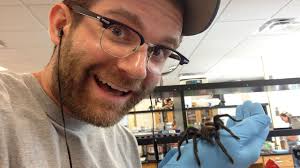 New tarantula species named after singer Johnny Cash