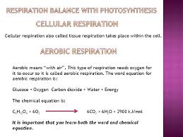 The most general chemical equation for oxygen based photosynthesis is as follows the glucose produced is the energy the plant uses for its own cellular processes. Biology For Class Ix Respiration Class Ix Content