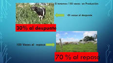 Resultado de imagen para "leyes universales" voisin