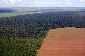 To get the most reviews from real customers, all for free, visit angi. Does A Loophole In Organic Standards Encourage Deforestation Civil Eats