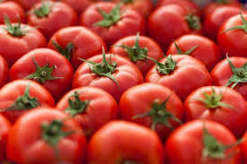 We did not find results for: Garden Plot Tums Can Help Tomatoes Even When They Don T Have Heartburn Wtop