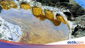 Ia dikesan sejak tahun 1912 oleh seorang pemburu bernama stoffel coetzee. Legenda Tapak Kaki Raksasa Di Aceh Selatan
