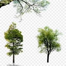 Browse the biggest collection of high resolution wallpaper photos on pngtree. Background Png Images Download Hd Png Background Full Hd Png 1256x1600 Wallpaper Teahub Io