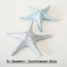 Schmuckdose mit muscheln und echtem sand. Sonstige Seestern Teller Tablett Maritime Deko Muscheln Sand Natur Windlicht Teelicht Mobel Wohnen Raizlatina Com Br