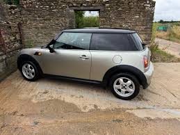 Image result for Pure Silver 2007 Mini