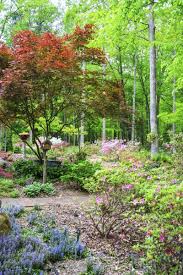 When to start planting a garden in alabama. Tips On Gardening In Zone 7 Garden Tips For Zone 7 Regions