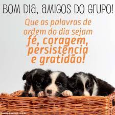 Maybe you would like to learn more about one of these? Bom Dia Amigos Do Grupo Frases Para Whats