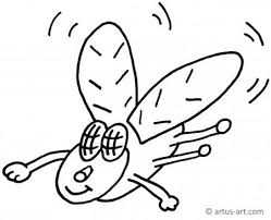 Fliege Ausmalbild Gratis Ausdrucken Ausmalen Artus Art
