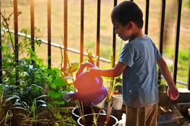 To get the maximum yields from each bed, pay attention to how you arrange your plants. How To Organize Your Backyard Vegetable Garden The Organized Mom