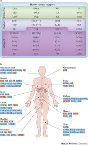 We did not find results for: Nuclear Receptors In Cancer Uncovering New And Evolving Roles Through Genomic Analysis Nature Reviews Genetics